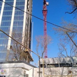 photo_857@02-04-2021_15-05-56